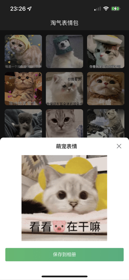淘气表情包免费版
