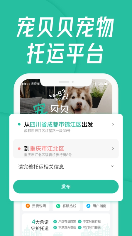 宠贝贝宠物托运平台免费版