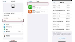 苹果手机如何取消连续包月