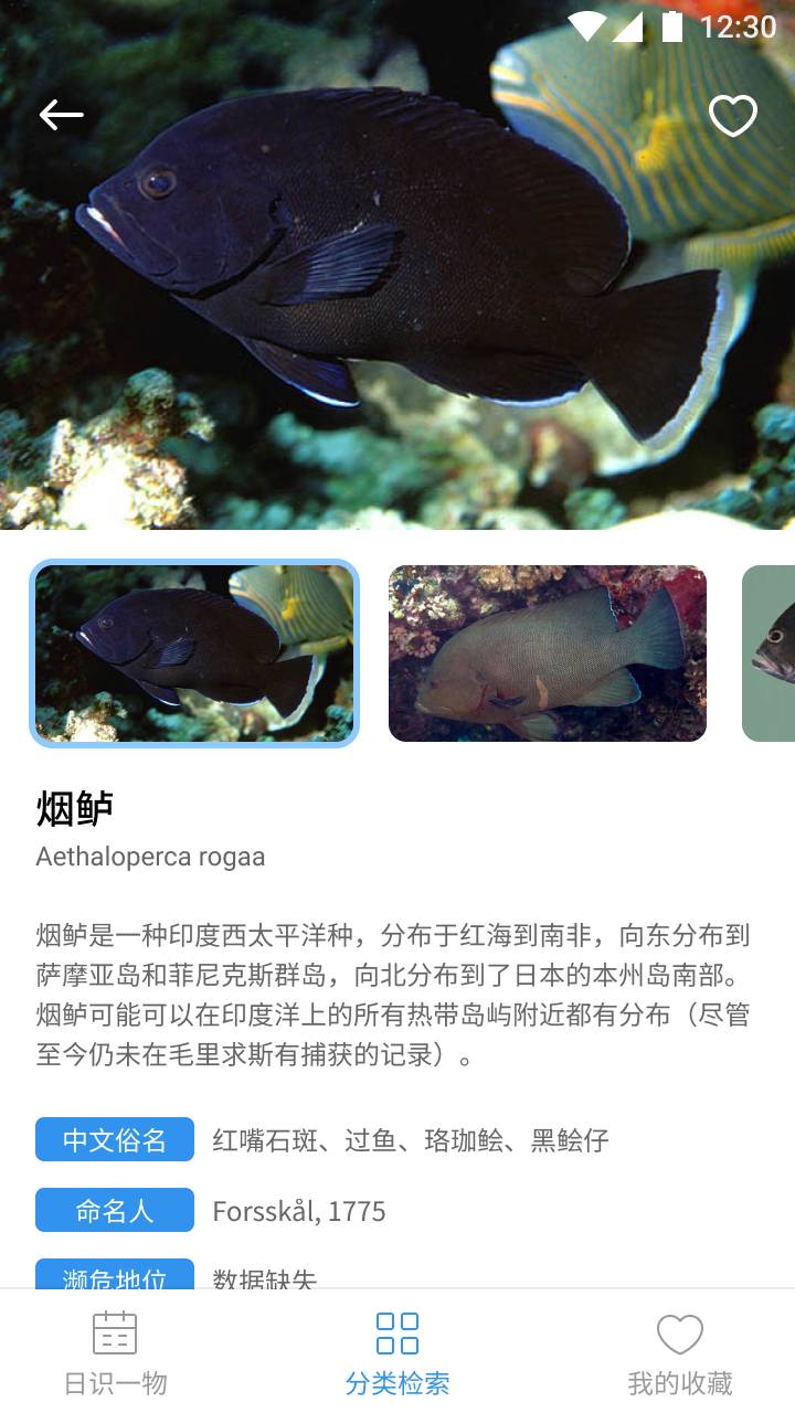 奇妙海洋百科知识手机版