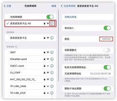 怎么知道无线网密码是多少