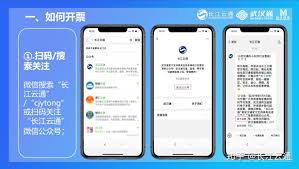 如何开具武汉通电子发票
