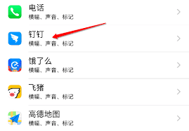 钉钉如何设置电话按钮显示