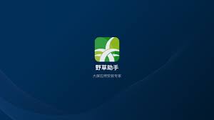 野草助手2月17日更新内容是什么