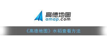 高德地图如何设置稻穗