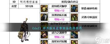 DNF人造神版本蓝拳毕业装备怎么选