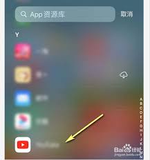 怎样在iPhone中撤销从主屏幕删除