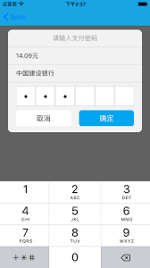 如何设置输入自定义密码访问支付宝