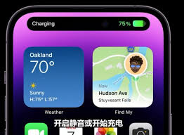 哪些软件适配iPhone14pro系列灵动岛