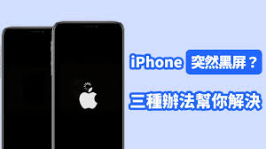 苹果手机黑屏打不开怎么解决