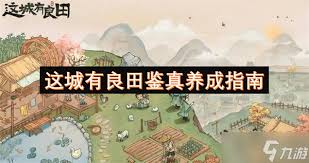 这城有良田鉴真技能如何升级