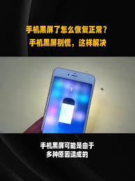 手机黑屏如何恢复