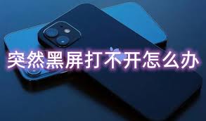 苹果手机突然黑屏打不开怎么办