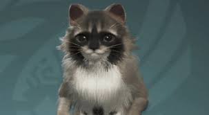 怪物猎人荒野浣熊艾露猫捏脸数据怎么分享