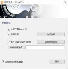 diskgenius怎样恢复特定文件类型
