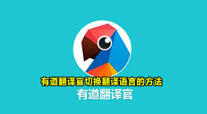 有道翻译官怎么使用