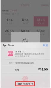 ios系统如何找到b站官网充值入口