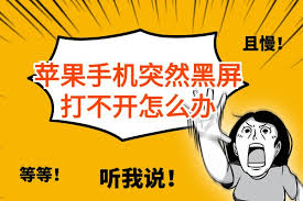 iphone手机黑屏打不开如何解决