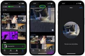 iOS17宠物识别功能在iPhone上为何不起作用