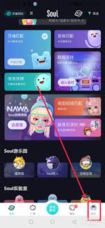 soul为什么不允许分享名片