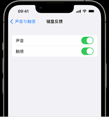 iPhone如何启用触觉键盘