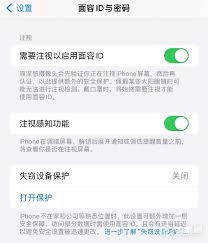 iPhone14Plus怎样设置被盗设备保护功能
