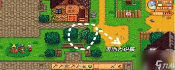 星露谷物语姜岛玩法攻略