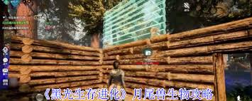黑光生存进化科多兽生物属性是什么