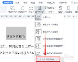 Word中如何快速竖向选择内容