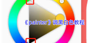 painter怎么调成黑白