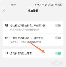 抖音如何打开静音设置