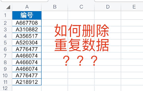 如何在Excel中删除重复项