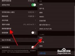苹果手机如何设置apn