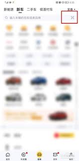 懂车帝怎么进行扫脸识别车
