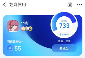 支付宝芝麻粒有效期是多久
