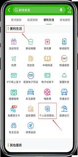 手机上如何查询个人征信
