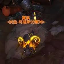 魔兽世界中狡猾的老鼠在哪里抓