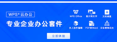 金山WPS如何添加版权
