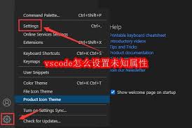 vscode如何设置未知属性