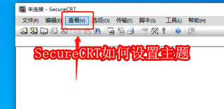 SecureCRT怎么设置主题