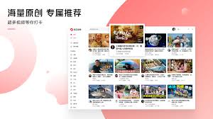 西瓜视频怎样传输高清动态视频