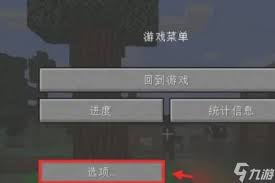 我的世界如何隐藏鼠标指针