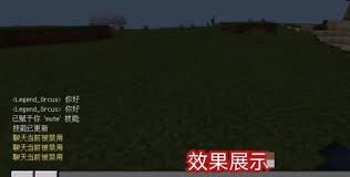 我的世界2025版如何用指令禁言玩家