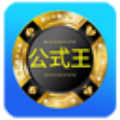 公式王个位单双计划