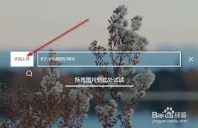 百度识图有哪些功能