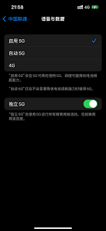 iPhone13如何显示5G网络