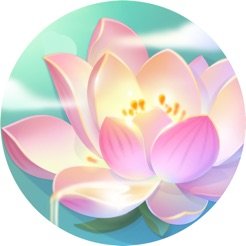 旅行的相册官网版