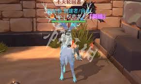 剑与轮回花语奇遇花朵位置在哪