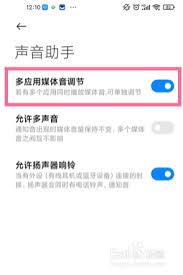 哔哩哔哩如何设置单独声音控制