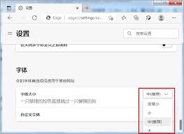 edge浏览器字体大小如何设置